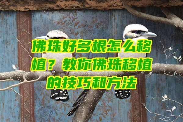 珠好多根怎么移植？教你珠移植的技巧和方法