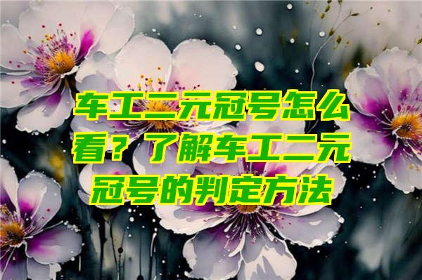 车工二元冠号怎么看？了解车工二元冠号的判定方法