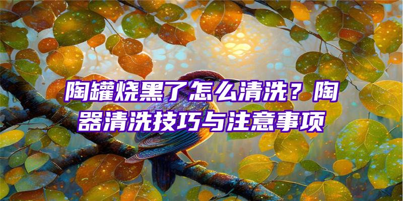 陶罐烧黑了怎么清洗？陶器清洗技巧与注意事项