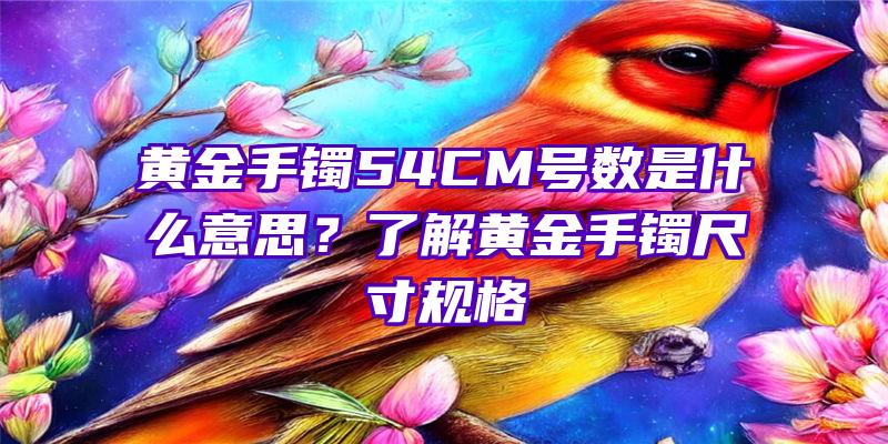 黄金手镯54CM号数是什么意思？了解黄金手镯尺寸规格