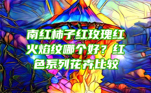 南红柿子红玫瑰红火焰纹哪个好？红色系列花卉比较