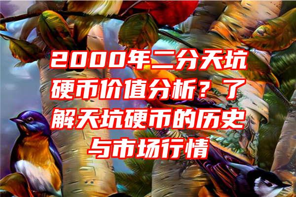 2000年二分天坑硬币价值分析？了解天坑硬币的历史与市场行情