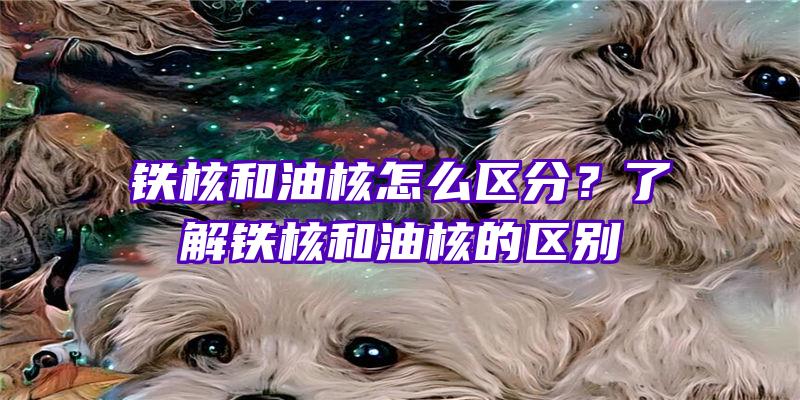 铁核和油核怎么区分？了解铁核和油核的区别