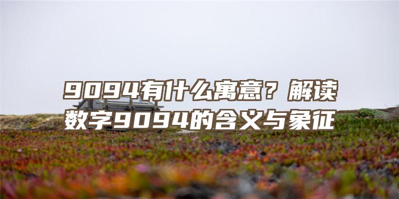 9094有什么寓意？解读数字9094的含义与象征