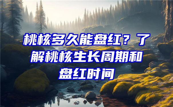 桃核多久能盘红？了解桃核生长周期和盘红时间