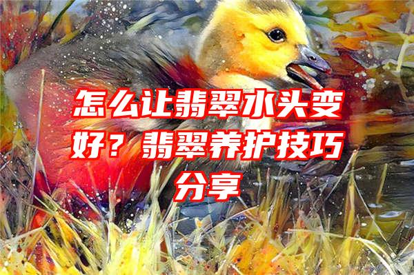 怎么让翡翠水头变好？翡翠养护技巧分享