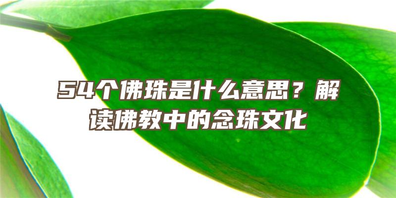 54个珠是什么意思？解读教中的念珠文化