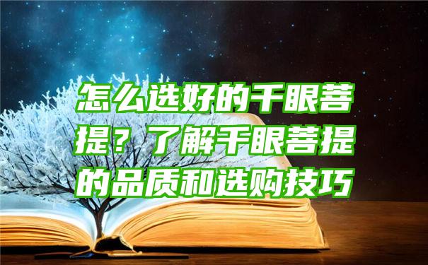 怎么选好的千眼菩提？了解千眼菩提的品质和选购技巧