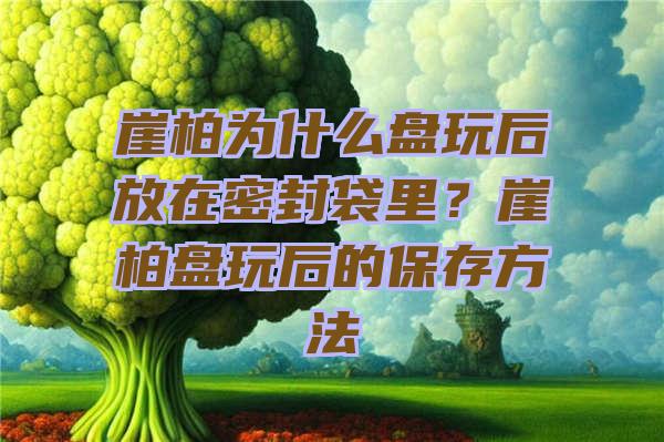 崖柏为什么盘玩后放在密封袋里？崖柏盘玩后的保存方法