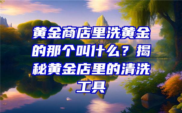 黄金商店里洗黄金的那个叫什么？揭秘黄金店里的清洗工具