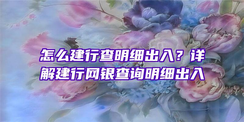 怎么建行查明细出入？详解建行网银查询明细出入