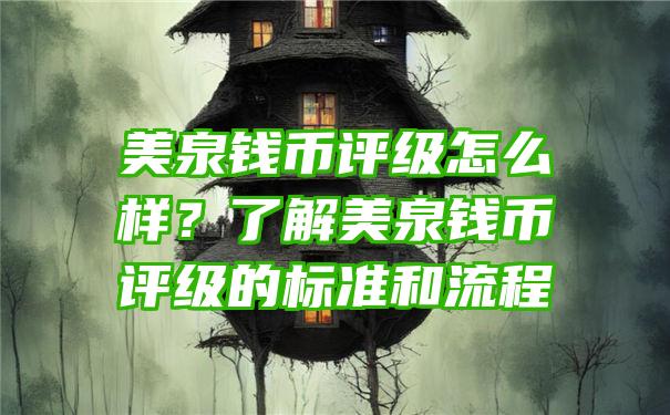 美泉钱币评级怎么样？了解美泉钱币评级的标准和流程