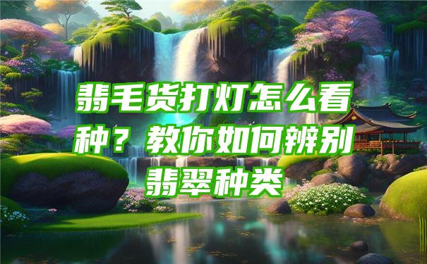 翡毛货打灯怎么看种？教你如何辨别翡翠种类