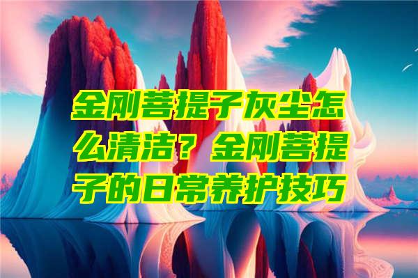 金刚菩提子灰尘怎么清洁？金刚菩提子的日常养护技巧