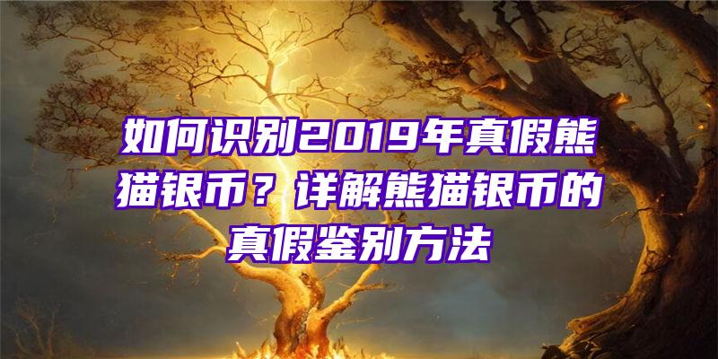 如何识别2019年真假熊猫银币？详解熊猫银币的真假鉴别方法