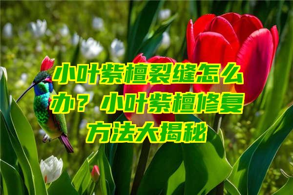 小叶紫檀裂缝怎么办？小叶紫檀修复方法大揭秘