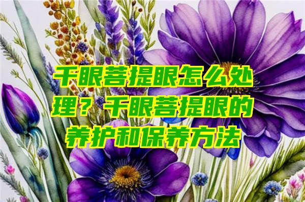 千眼菩提眼怎么处理？千眼菩提眼的养护和保养方法