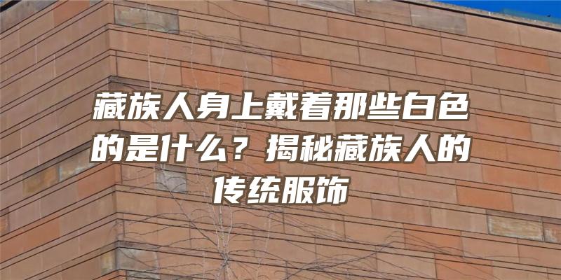 藏族人身上戴着那些白色的是什么？揭秘藏族人的传统服饰