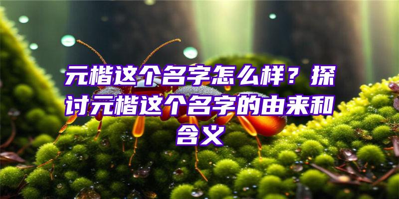 元楷这个名字怎么样？探讨元楷这个名字的由来和含义