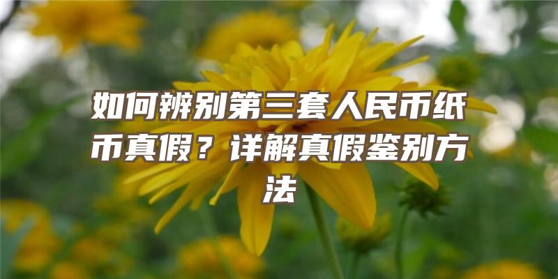 如何辨别第三套人民币纸币真假？详解真假鉴别方法