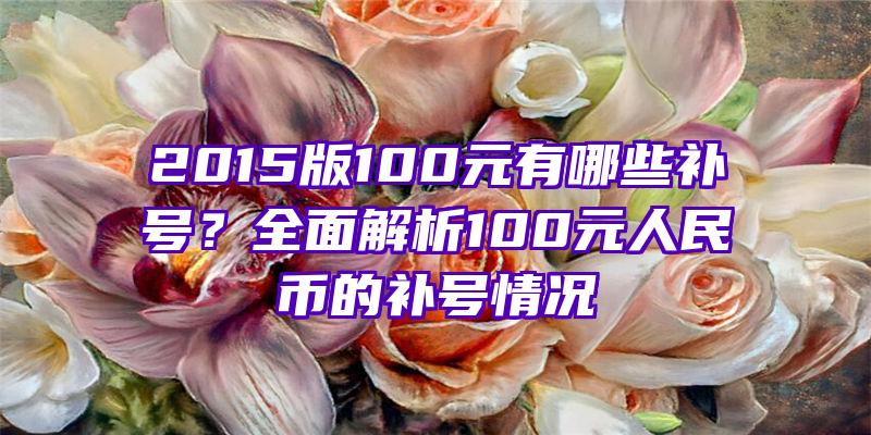 2015版100元有哪些补号？全面解析100元人民币的补号情况