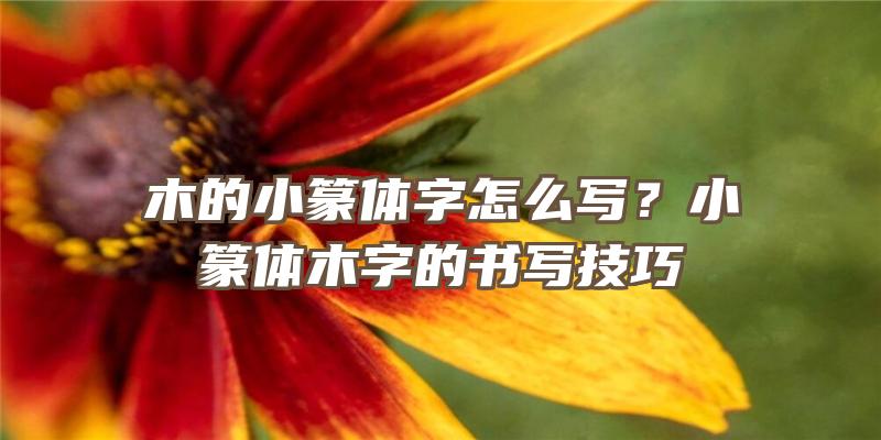 木的小篆体字怎么写？小篆体木字的书写技巧