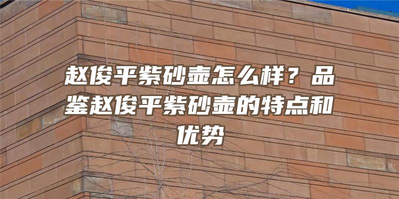 赵俊平紫砂壶怎么样？品鉴赵俊平紫砂壶的特点和优势