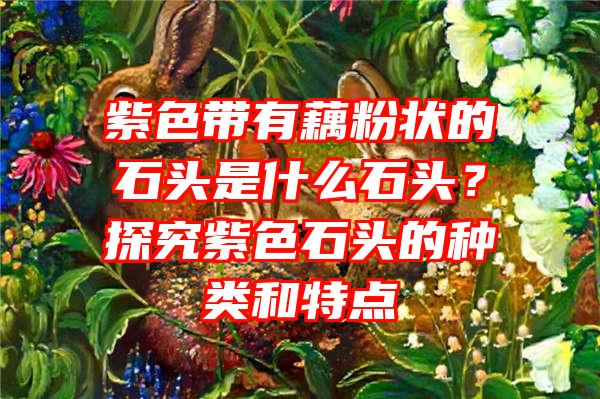 紫色带有藕粉状的石头是什么石头？探究紫色石头的种类和特点