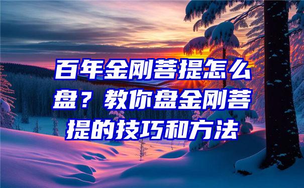 百年金刚菩提怎么盘？教你盘金刚菩提的技巧和方法