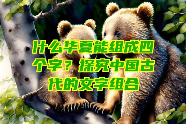 什么华夏能组成四个字？探究中国古代的文字组合