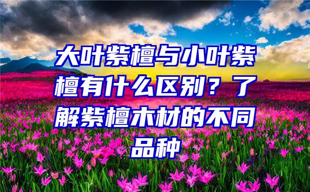 大叶紫檀与小叶紫檀有什么区别？了解紫檀木材的不同品种