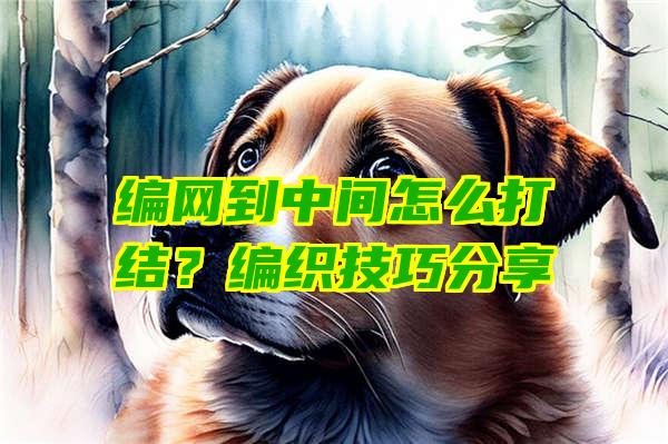 编网到中间怎么打结？编织技巧分享