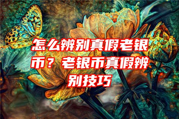 怎么辨别真假老银币？老银币真假辨别技巧