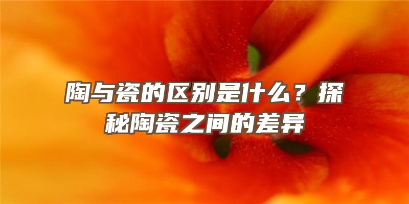 陶与瓷的区别是什么？探秘陶瓷之间的差异