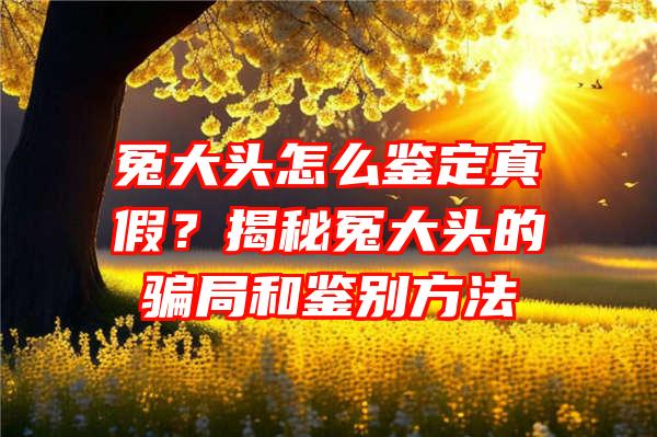 冤大头怎么鉴定真假？揭秘冤大头的骗局和鉴别方法