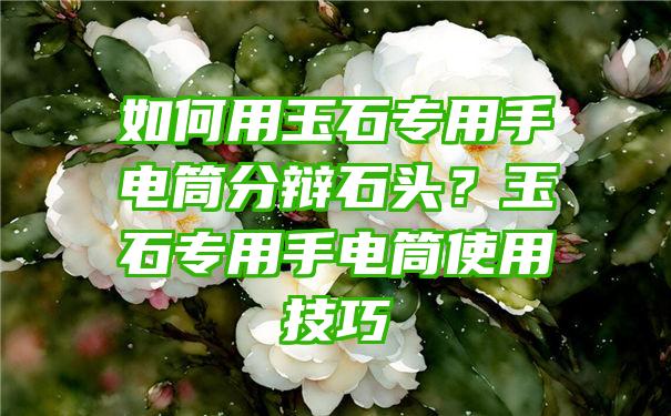 如何用玉石专用手电筒分辩石头？玉石专用手电筒使用技巧