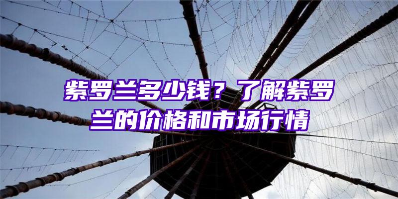 紫罗兰多少钱？了解紫罗兰的价格和市场行情