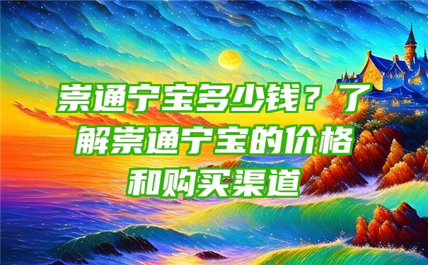 崇通宁宝多少钱？了解崇通宁宝的价格和购买渠道