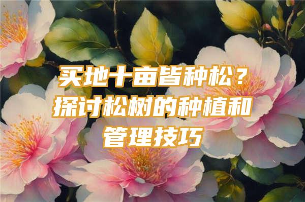 买地十亩皆种松？探讨松树的种植和管理技巧