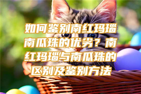 如何鉴别南红玛瑙南瓜珠的优劣？南红玛瑙与南瓜珠的区别及鉴别方法