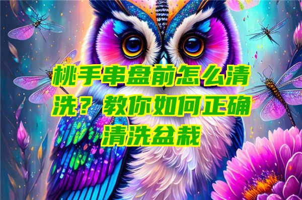 桃手串盘前怎么清洗？教你如何正确清洗盆栽