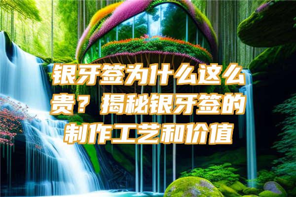 银牙签为什么这么贵？揭秘银牙签的制作工艺和价值