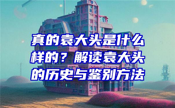 真的袁大头是什么样的？解读袁大头的历史与鉴别方法