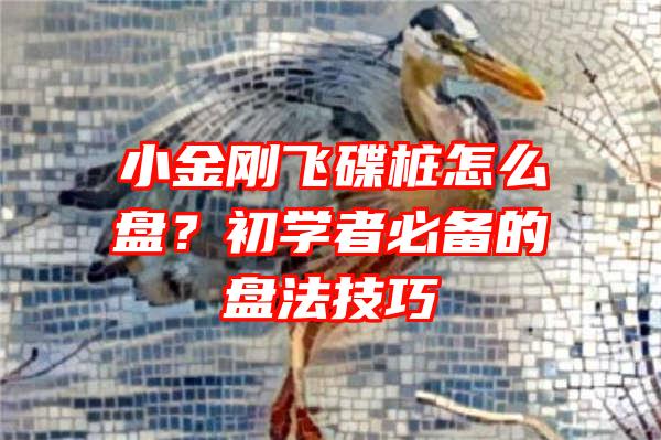 小金刚飞碟桩怎么盘？初学者必备的盘法技巧