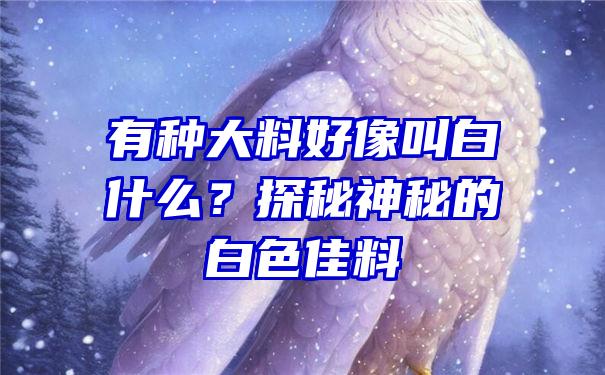 有种大料好像叫白什么？探秘神秘的白色佳料