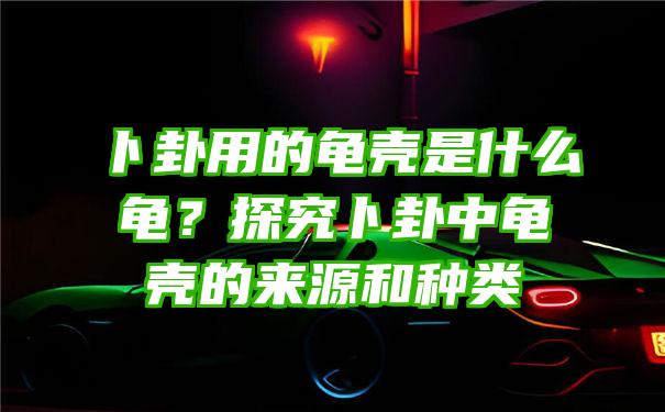 卜卦用的龟壳是什么龟？探究卜卦中龟壳的来源和种类