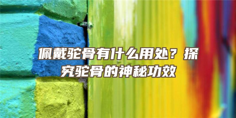 佩戴驼骨有什么用处？探究驼骨的神秘功效