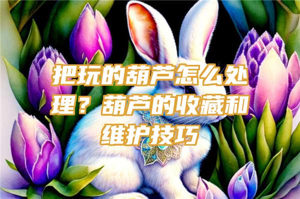 把玩的葫芦怎么处理？葫芦的收藏和维护技巧