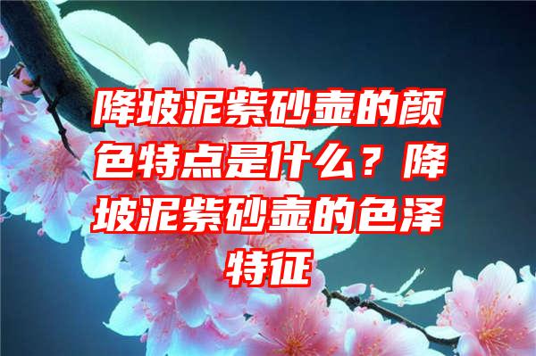 降坡泥紫砂壶的颜色特点是什么？降坡泥紫砂壶的色泽特征