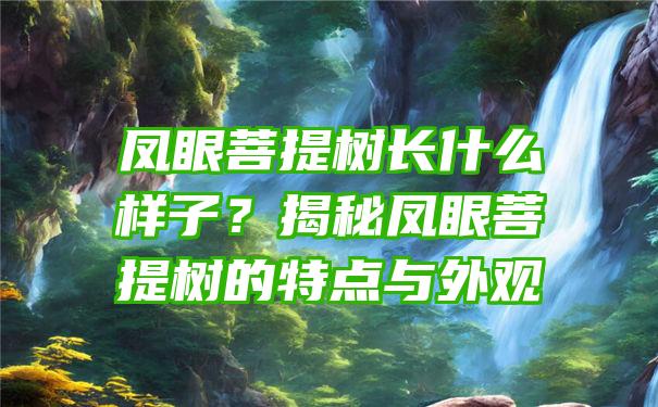 凤眼菩提树长什么样子？揭秘凤眼菩提树的特点与外观